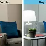 cool-white-vs-daylight