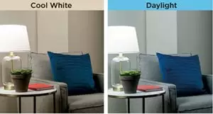 cool-white-vs-daylight