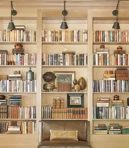 Wall-Sconce-lighting-in-bookshelf